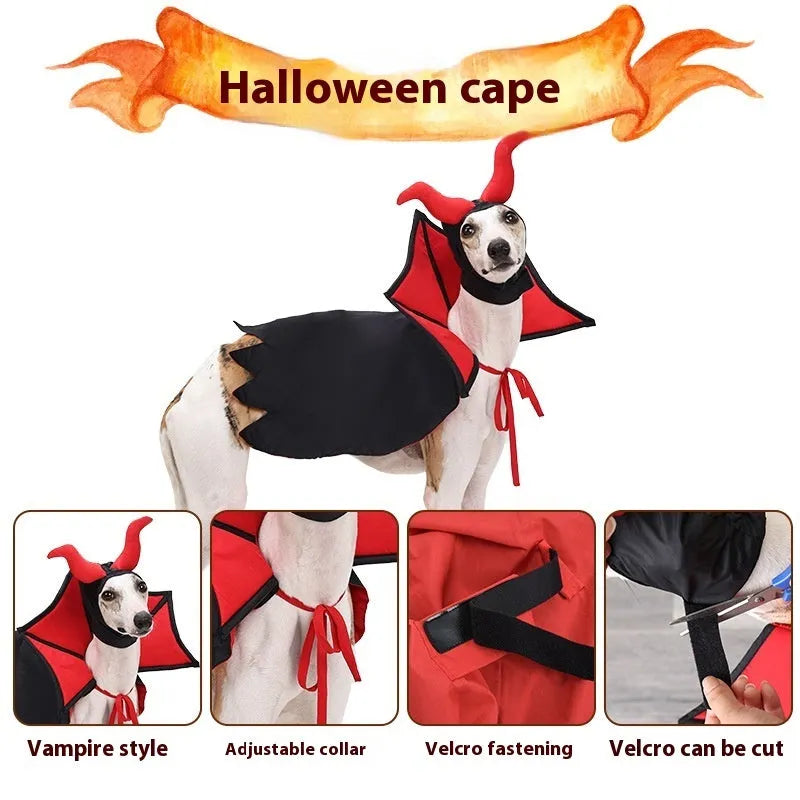 Black Halloween vampire costume for pets including cloak and hat on animal model