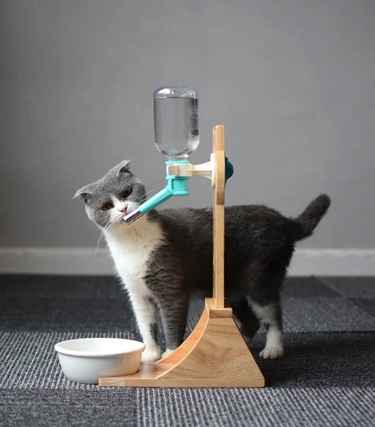 Cat drinking water dispenser with bamboo holder, 300ml capacity, Gray colour option