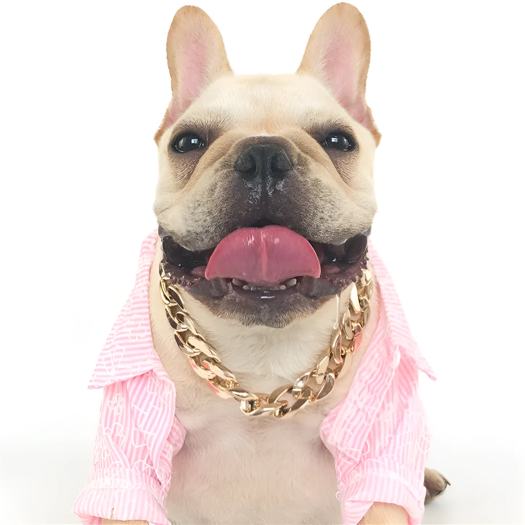 Gold chain dog collar with geometric plastic and resin ornaments on small dog neck