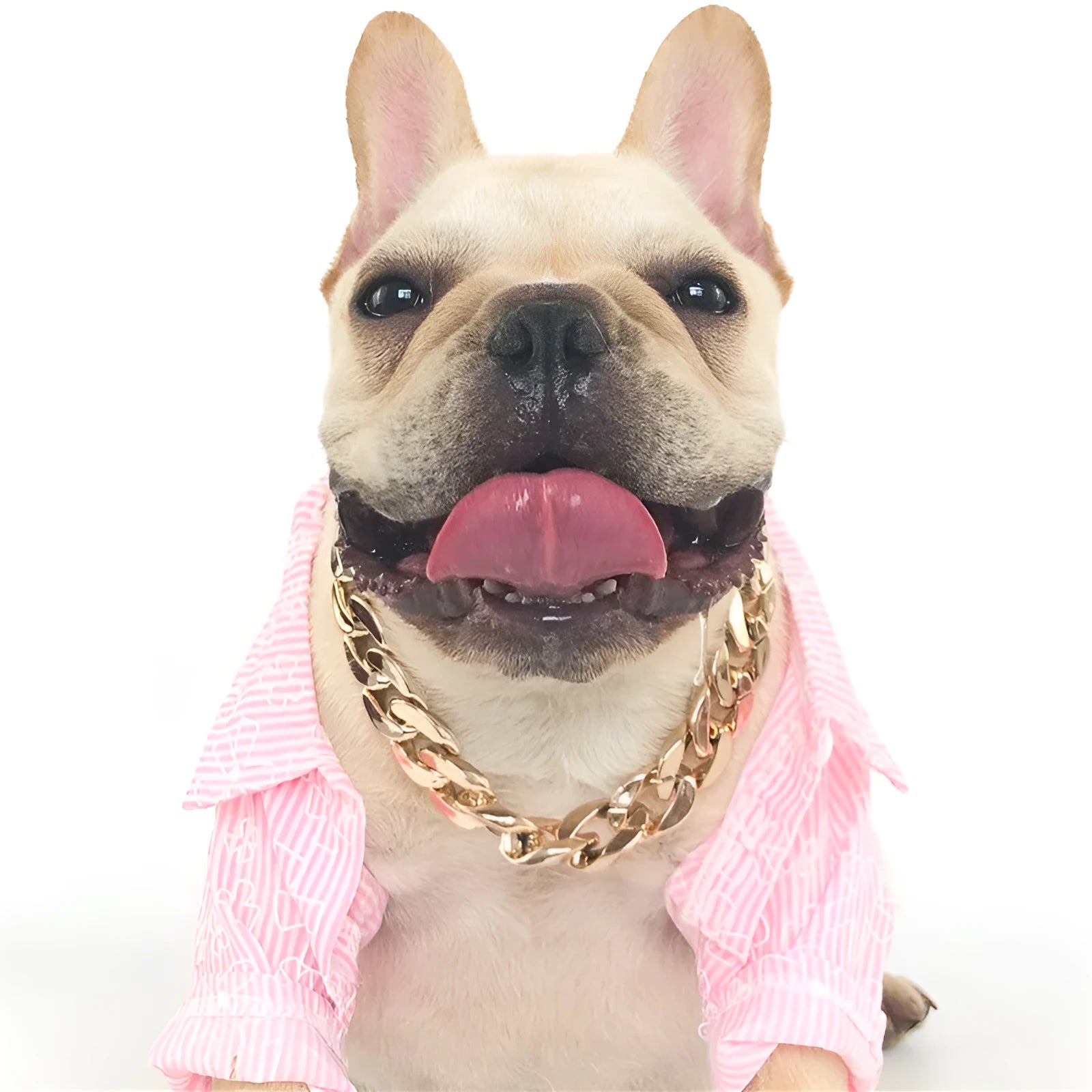 Gold chain dog collar with geometric plastic and resin ornaments on small dog neck