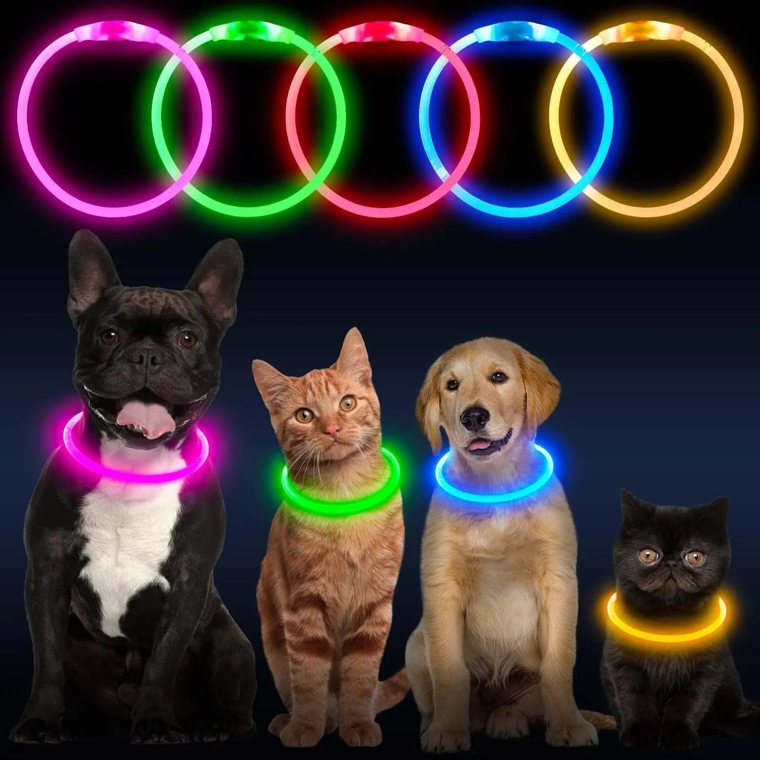 USB rechargeable LED light-up dog collar in blue, showing the light unit and adjustable TPU strap.