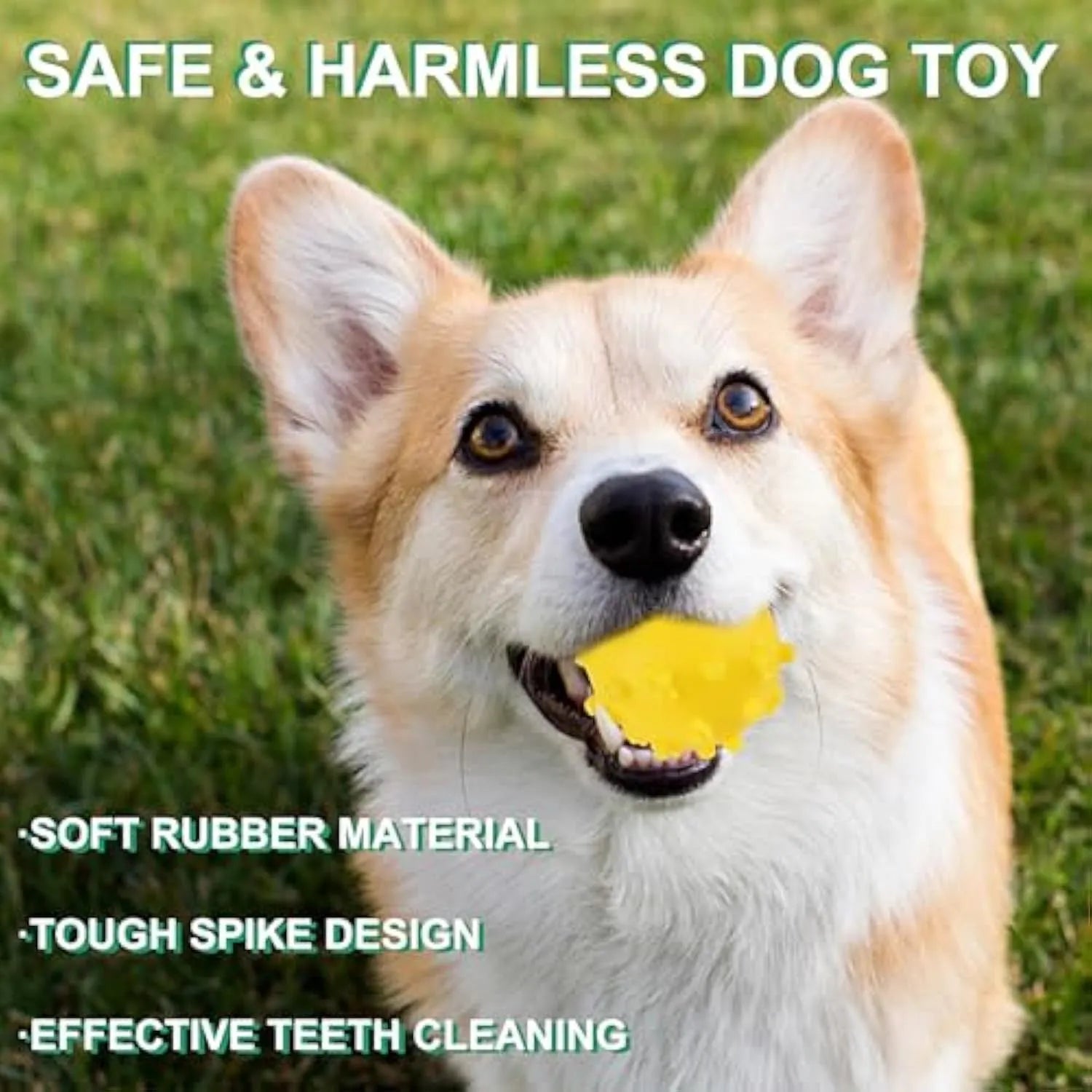 Set of bright blue, green, pink, and yellow spiked squeaky dog balls for small dogs on a lawn.