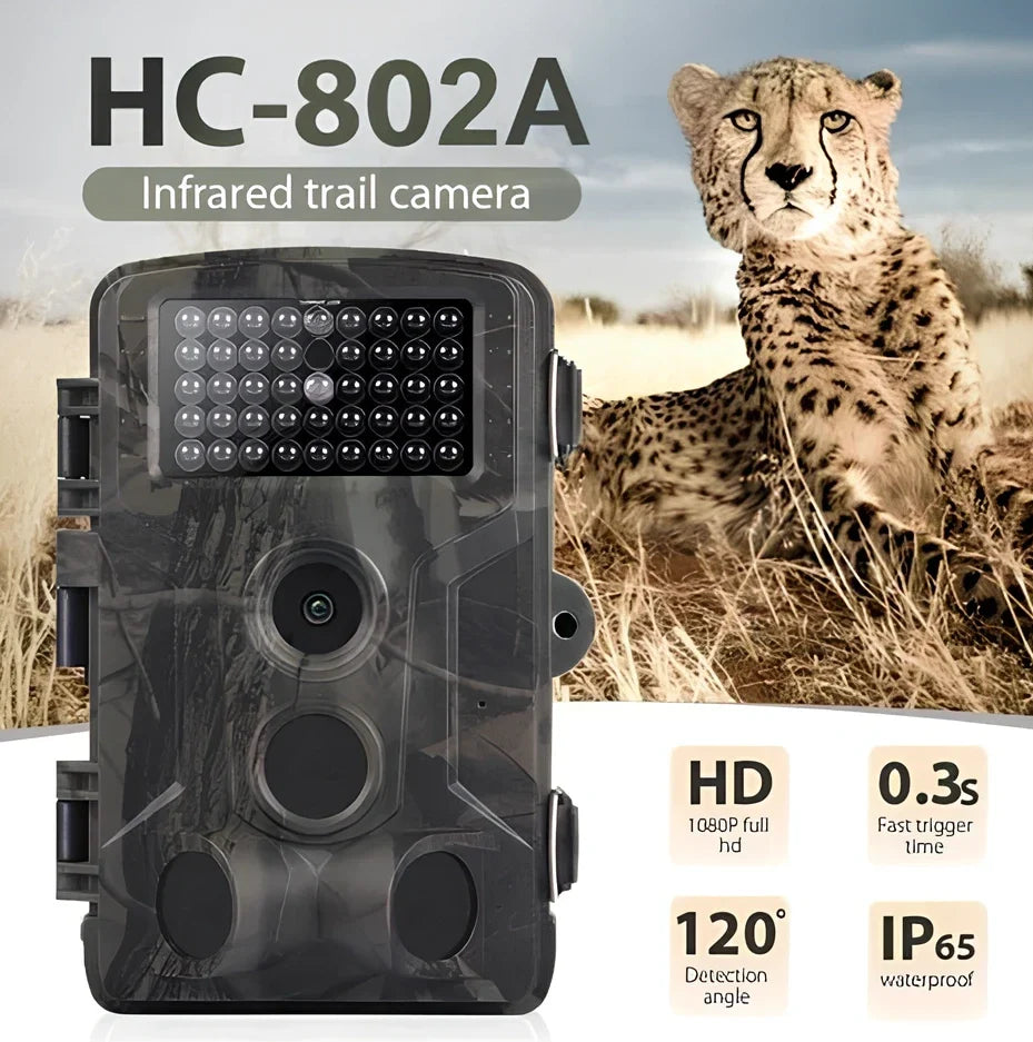 Military green Wild Hunting HD camera with 12x zoom lens and 2.0-inch LCD for trail and night use, 1080p resolution
