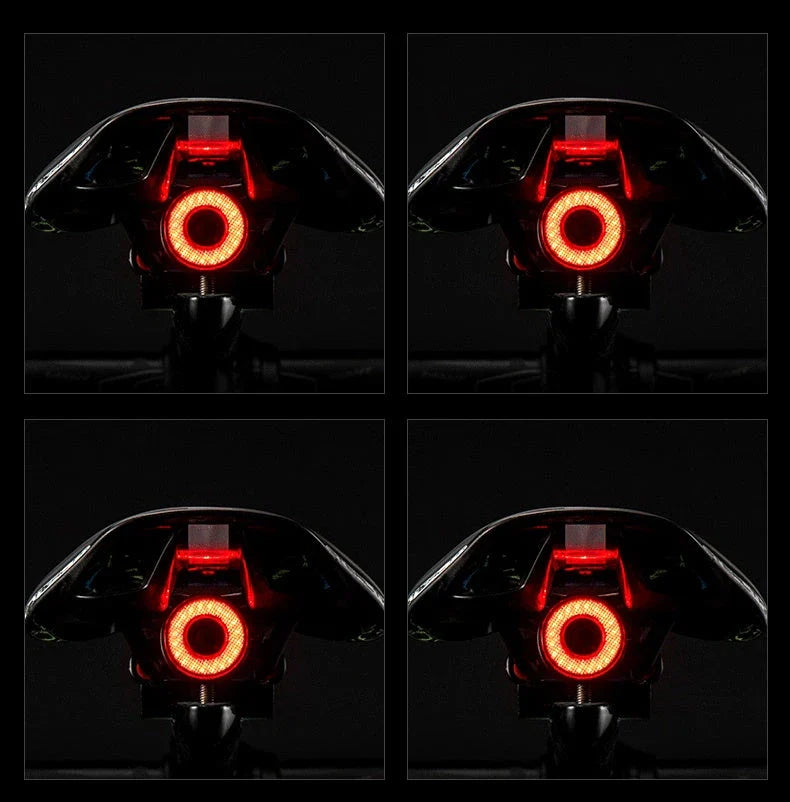 Smart auto brake sensing bicycle light with IPx6 waterproof rating and USB charging