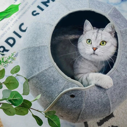 Plush, foldable cat tunnel transforms into a cozy hideaway for your playful kitty