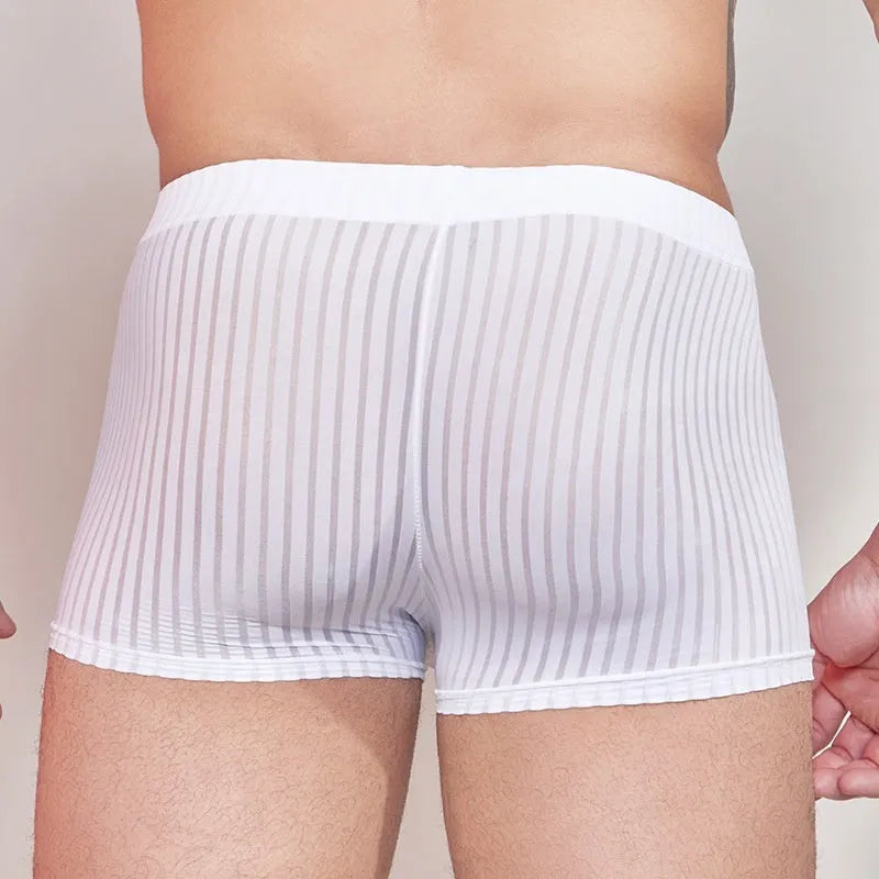 Men's thin transparent striped nylon briefs in black, dark grey and white colours.