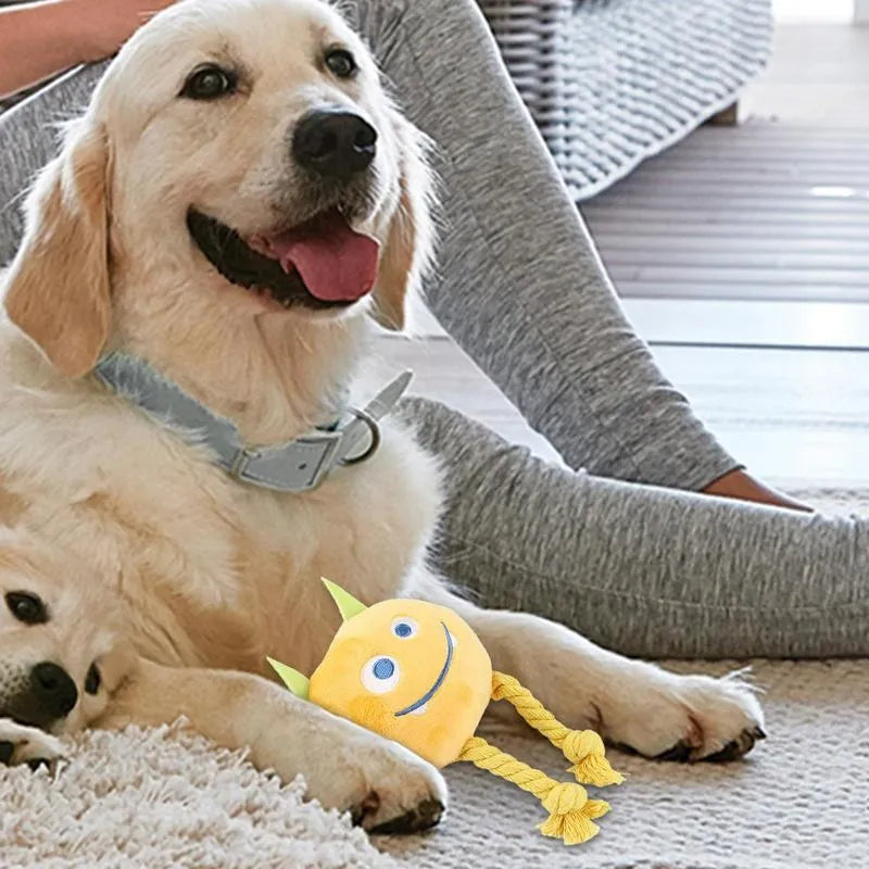Dog squeaky toy with knot design in cotton rope, available in yellow or blue colours