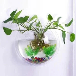 Wall-mounted transparent acrylic fish bowl in various sizes for space-saving aquatic displays