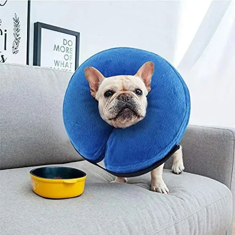 Blue inflatable dog recovery collar with velcro closure shown beside size measurement chart