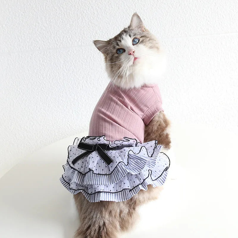 Polka dot lace cake dress for dogs in princess style available in three colours