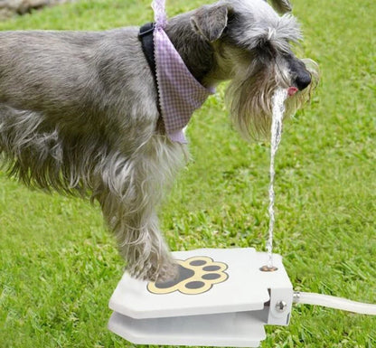 Outdoor dog water fountain with paw pad activation in durable steel construction