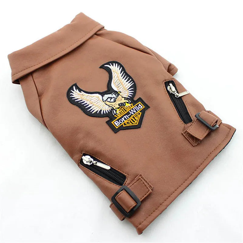 Small dog wearing an embroidered eagle faux leather jacket in chocolate brown, standing on a wooden floor