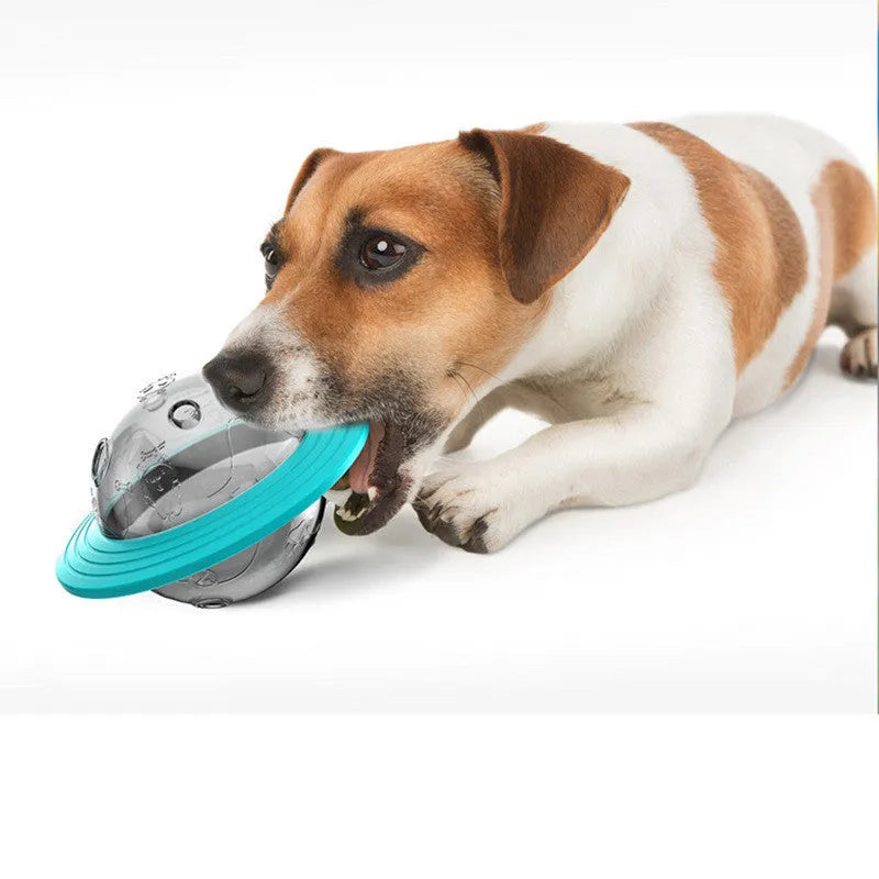 Missing food educational toy in Lake Blue plastic with leak-feeding hole for dogs and cats