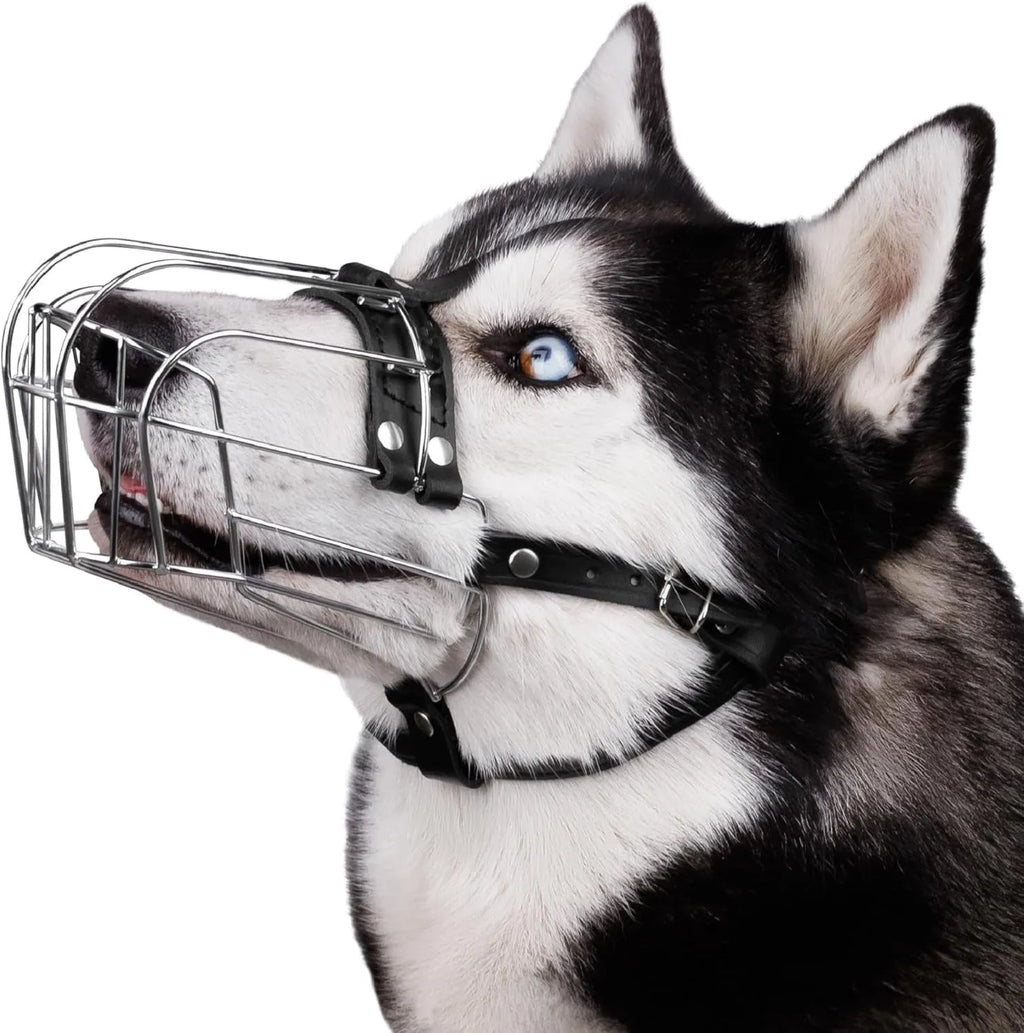 Black metal wire dog muzzle designed for a golden retriever or German shepherd.