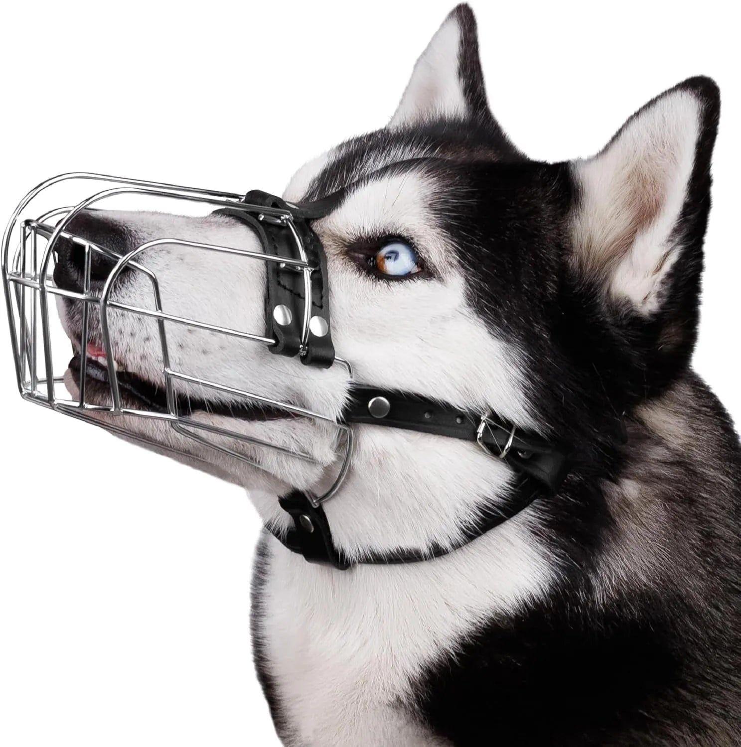 Black metal wire dog muzzle designed for a golden retriever or German shepherd.