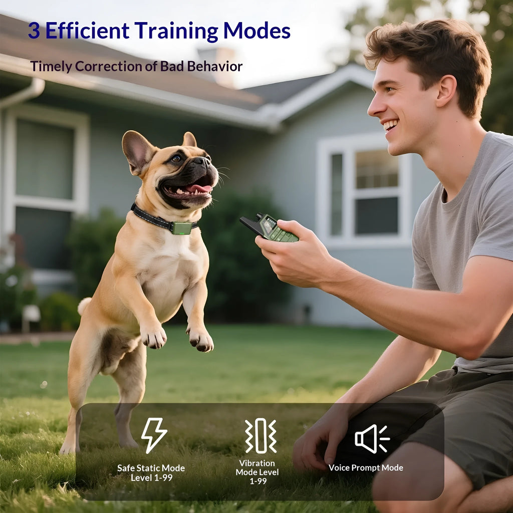 Remote control dog training collar made of ABS material with controller for anti-bark training