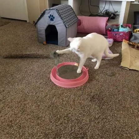 Blue interactive cat scratcher toy with circular ball track and central scratch pad.