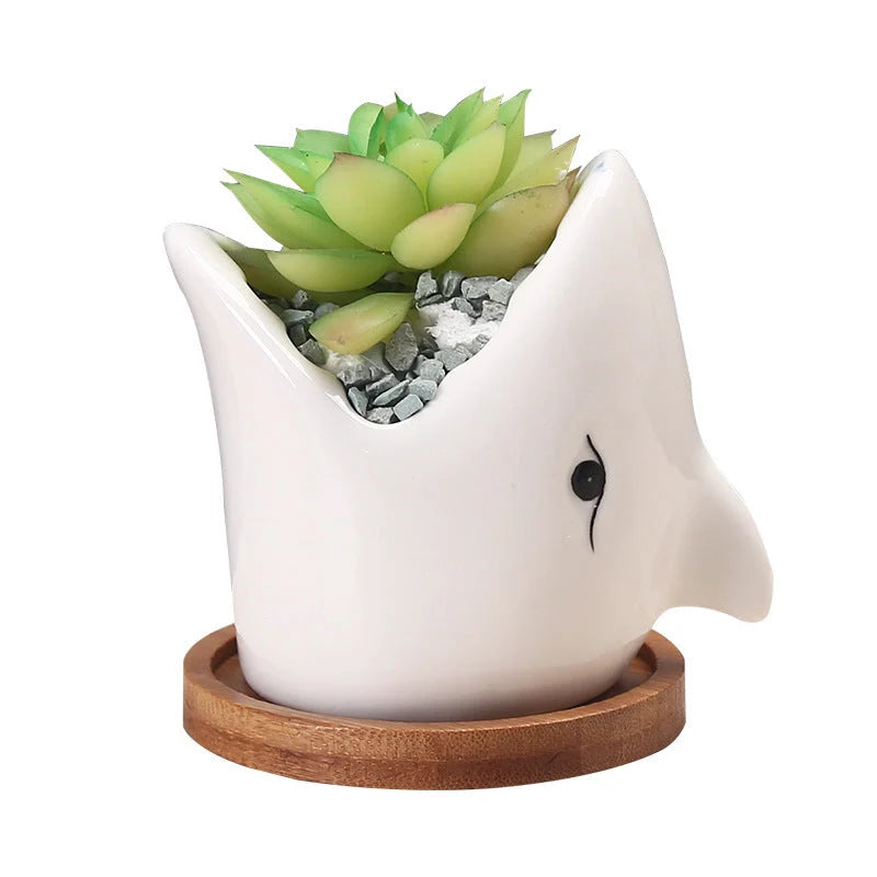 Creative cartoon ceramic succulent pot with drainage hole for small plants