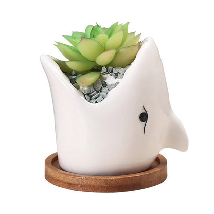 Creative cartoon ceramic succulent pot with drainage hole for small plants