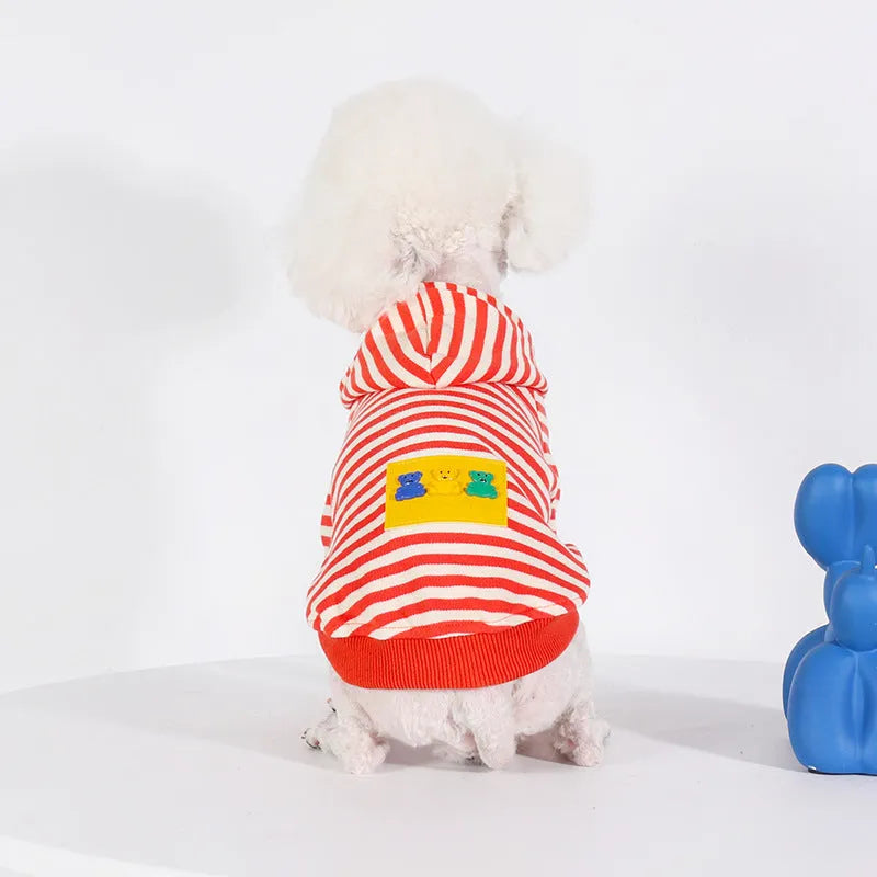 Orange cotton dog hooded sweater with Jarre Aero Bull Pug style on a mannequin.