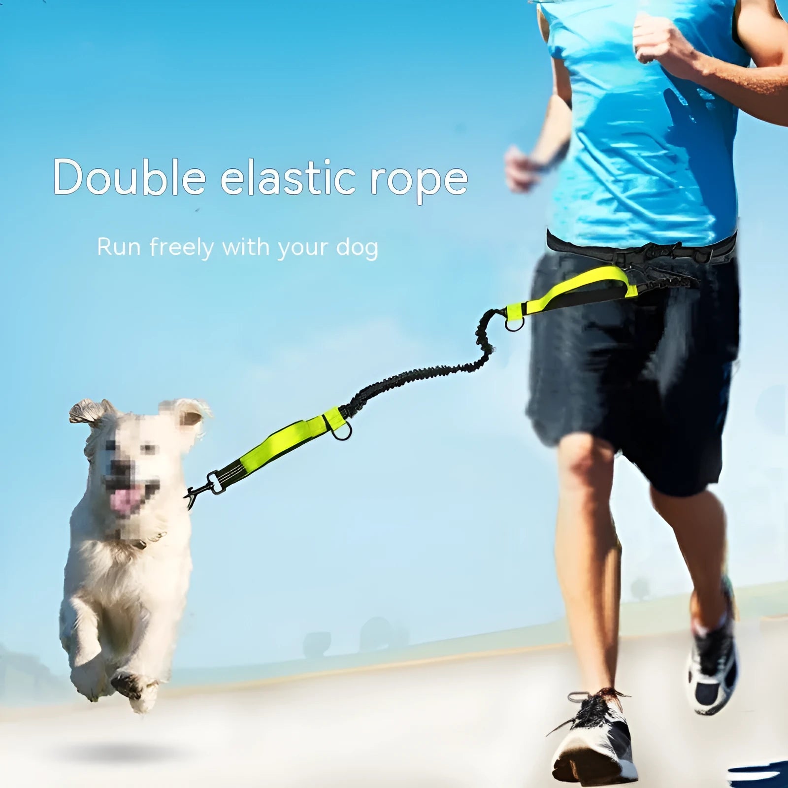 Blue adjustable waist dog running belt leash extended on grass