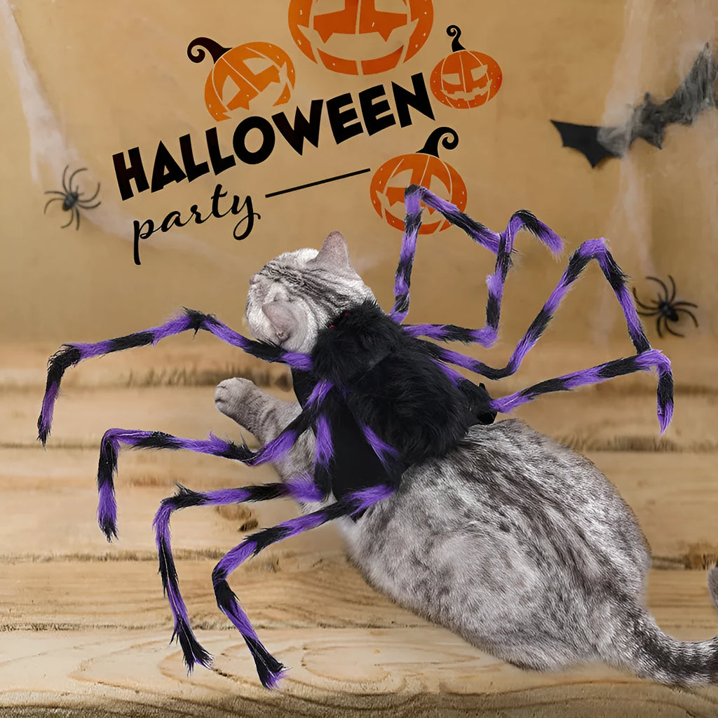 Grey and black spider Halloween costume for a small dog on a carpet.