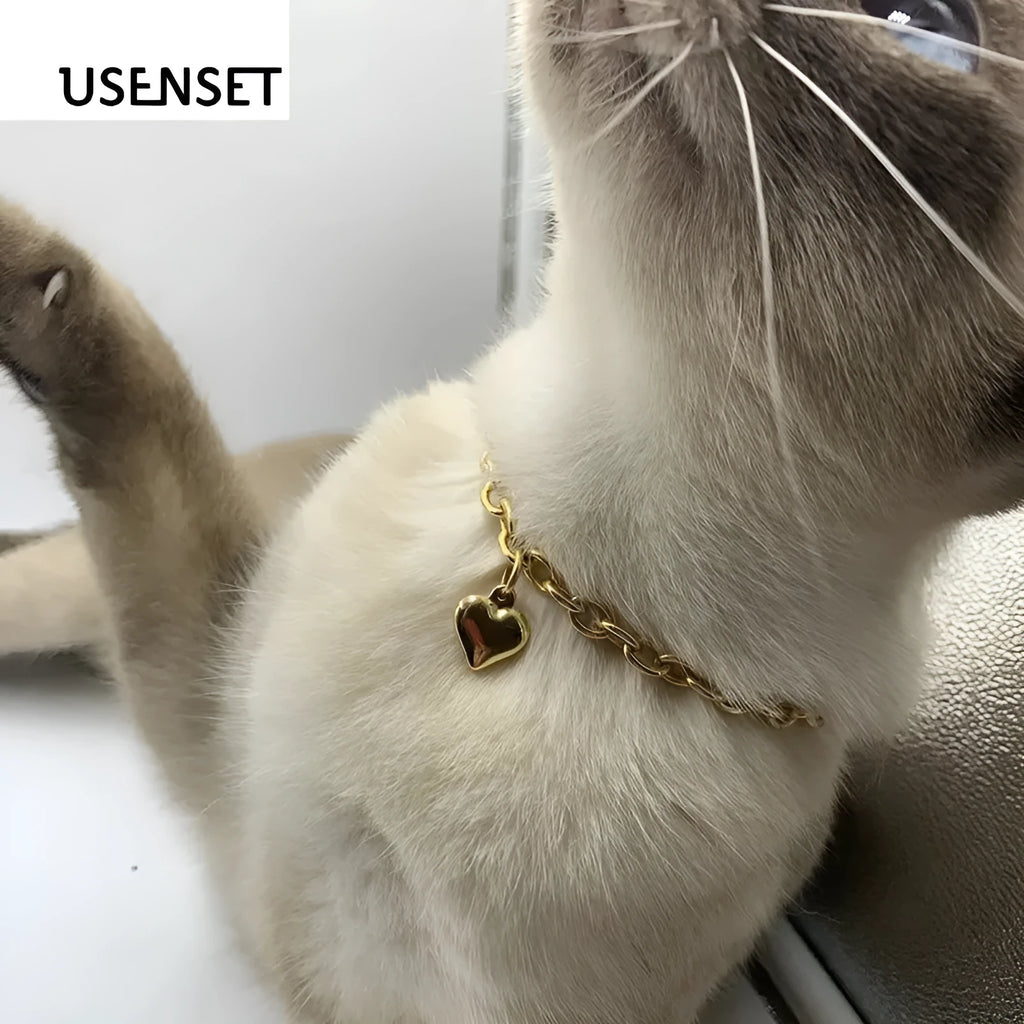 Stainless steel necklace with a pendant showing a cat, dog and heart, on a curb chain.