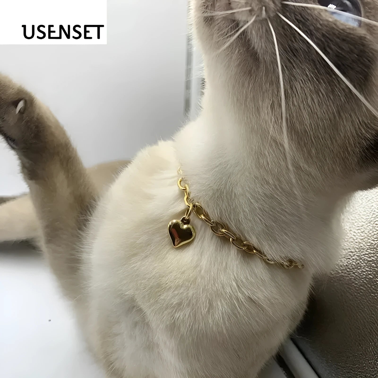 Stainless steel necklace with a pendant showing a cat, dog and heart, on a curb chain.