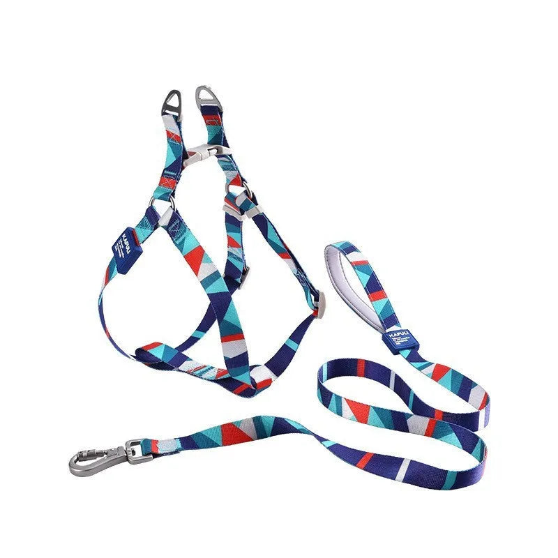 Blue polyester dog harness and leash set with padded rope and adjustable chest strap
