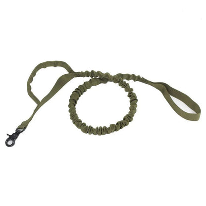 Elastic Buffer Outdoor Pet Traction Rope for large dogs in various colours