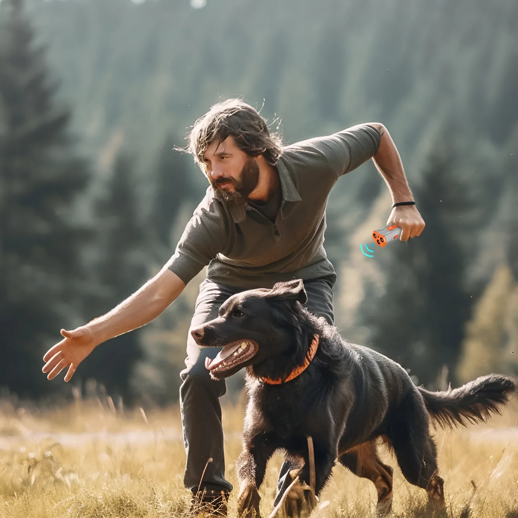 Three-head ultrasonic dog trainer device in ABS plastic with handheld remote design