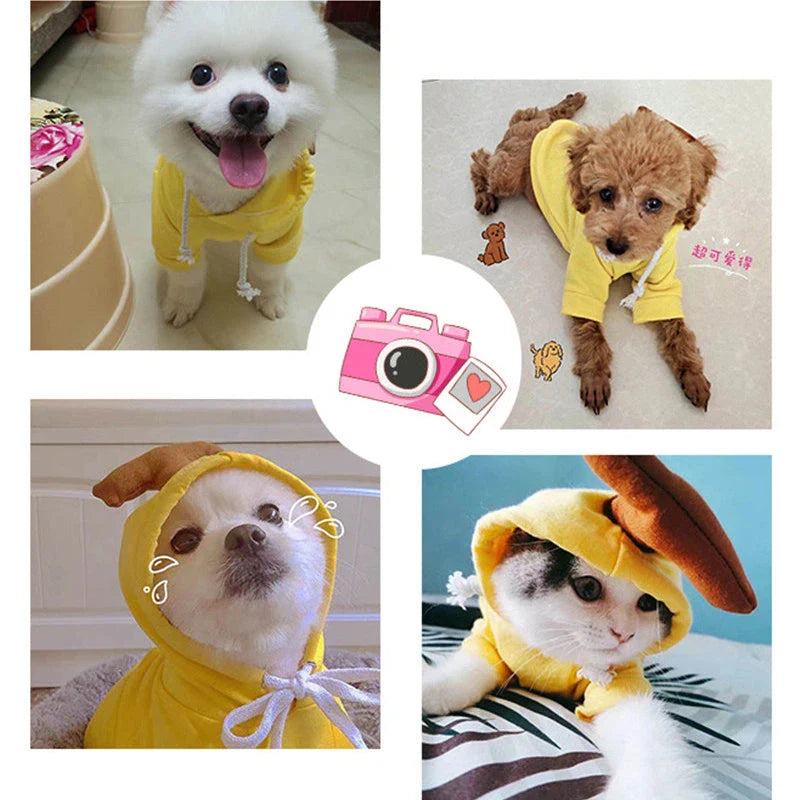 Fruit-themed fleece hoodies for small dogs in various designs and sizes