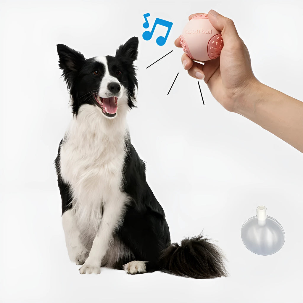 Green and pink rolling ball dog toy for small medium dogs measuring 64mm diameter
