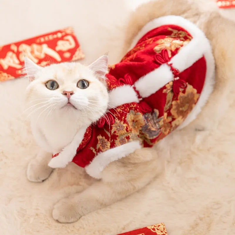 Small dog wearing red and gold brocade Tang suit with frog knot and white fluffy trim for Lunar New Year
