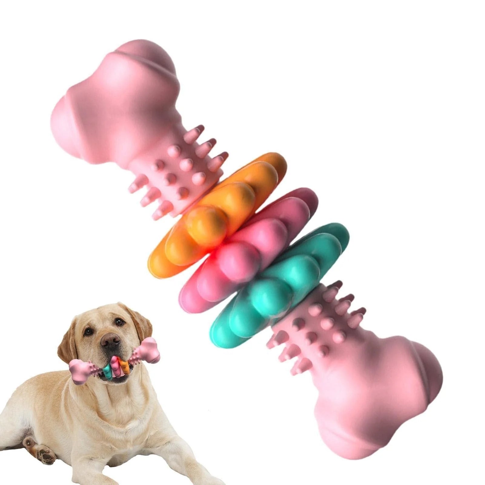 TPR dog chew toy bone in blue, pink, and green for teeth cleaning and stress relief