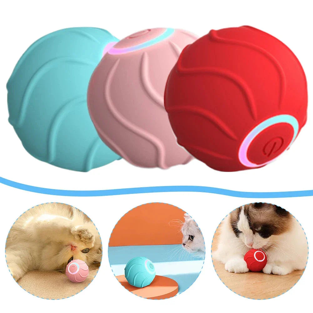 Automatic, self-bouncing cat toy balls in vibrant blue, red, and pink colors