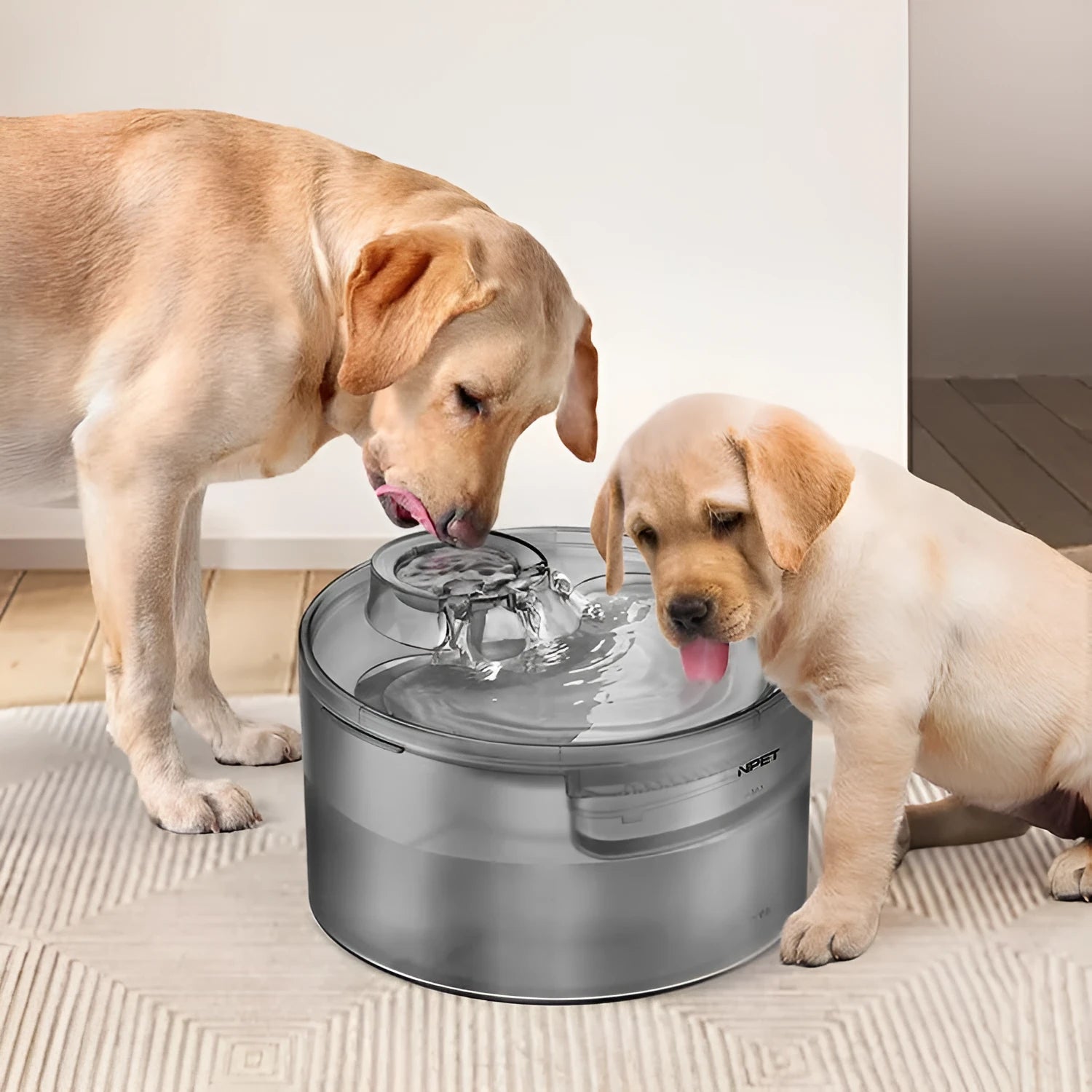 Automatic pet water fountain dispenser with flowing water circulation for cats and dogs