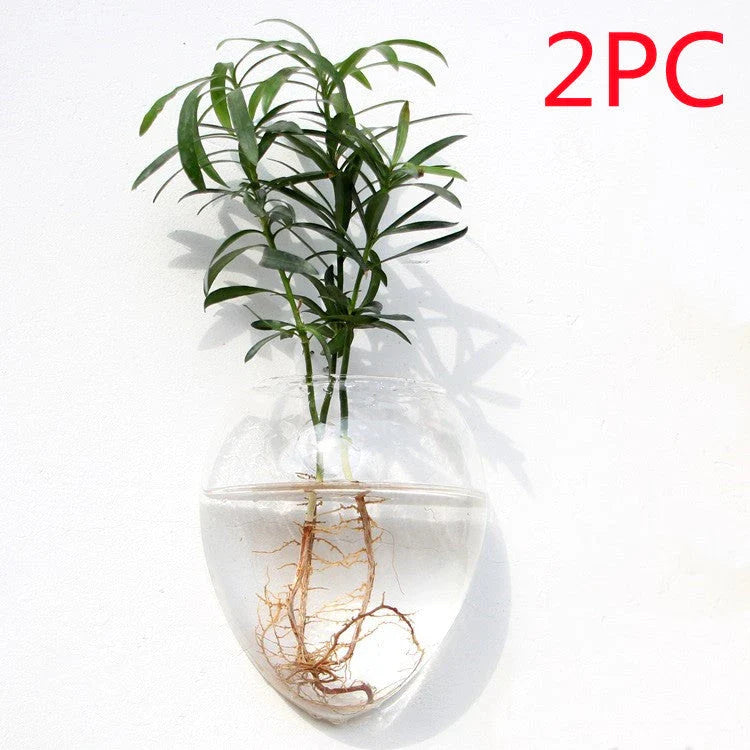 Elegant wall-mounted glass flower vase terrarium with various shapes and designs for home decor and indoor gardening