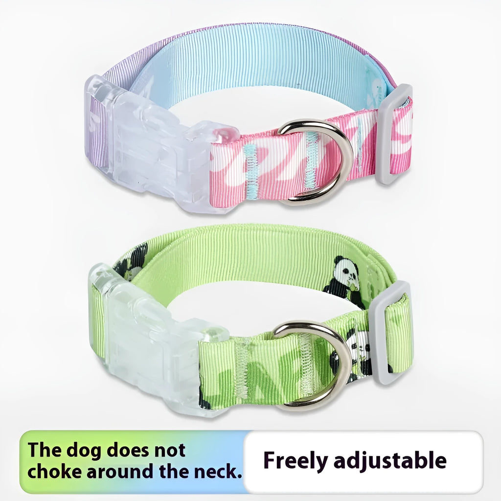 Green and colour gradient adjustable nylon dog collar with cartoon pattern, shown with buckle.