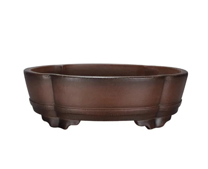 Classical purple clay bonsai pot with green plant old pile design, 50x39x16cm dimensions