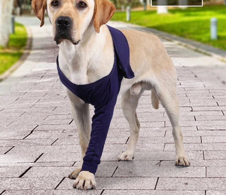 Dark blue anti-licking sleeve for dogs postoperative leg recovery