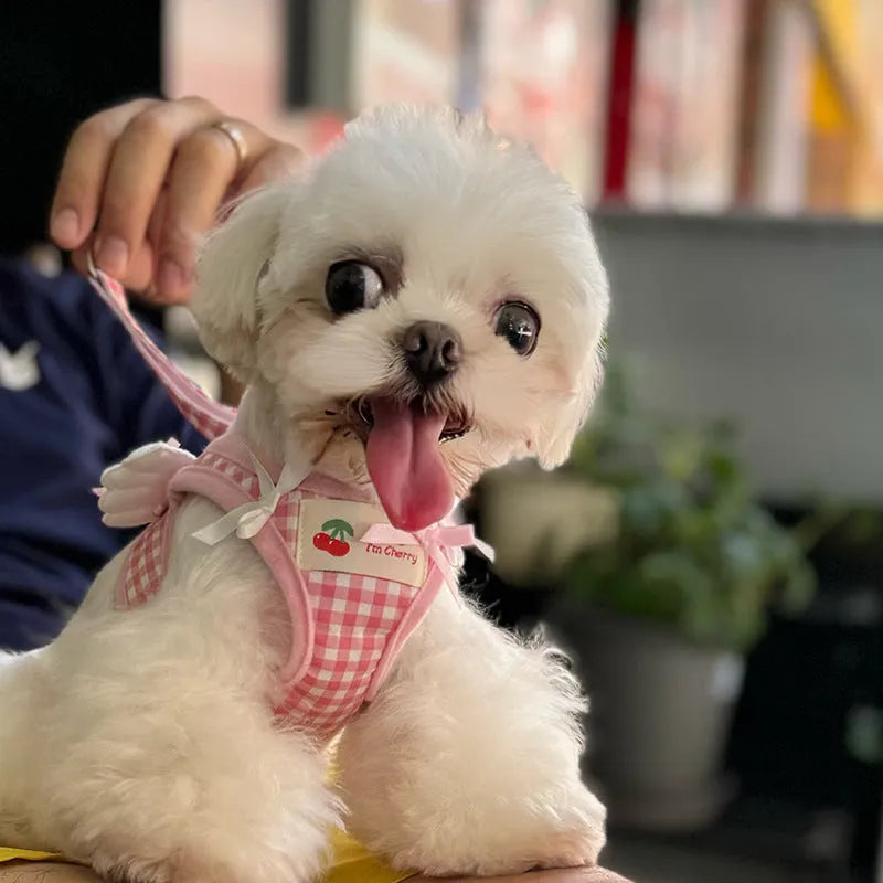 A pink cotton chest and back harness with a hand holding rope for a small dog.