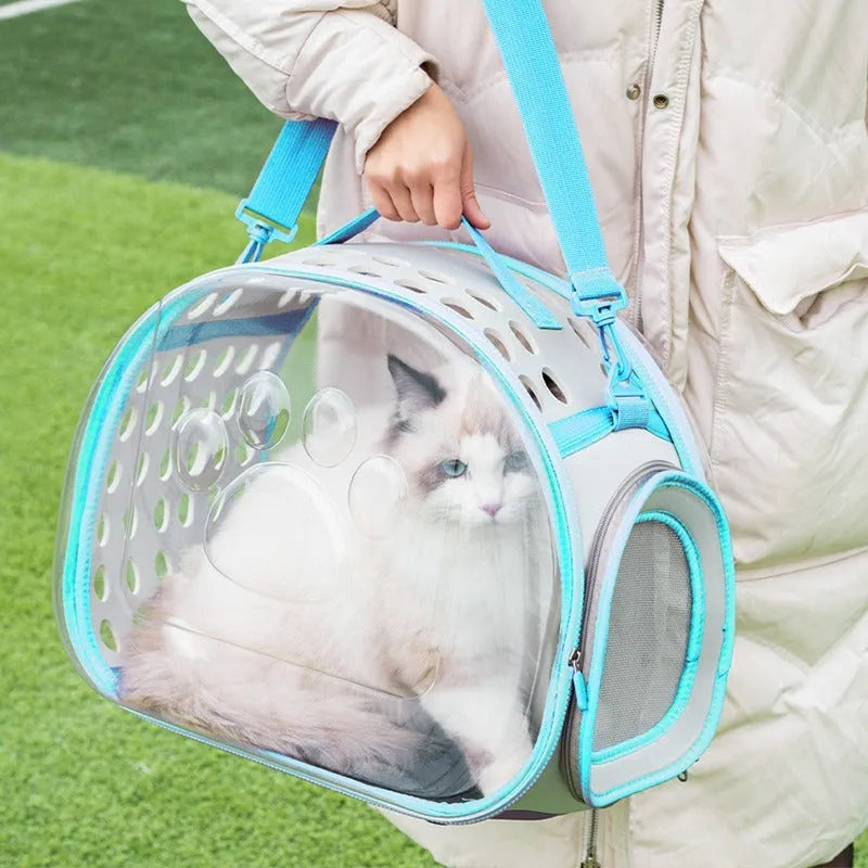 Transparent space capsule style cat backpack in hard EVA material showing interior space