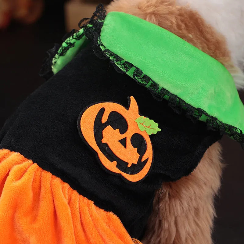 Halloween pet costume showing pumpkin skirt and sweater options in crystal velvet material for dogs and cats