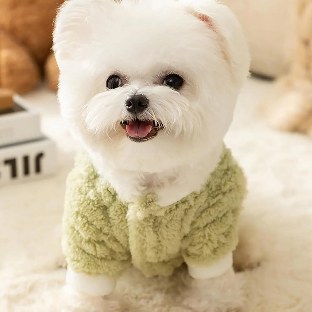 Green fluffy frog pet hoodie for small and medium dogs and cats with white trim and D-ring
