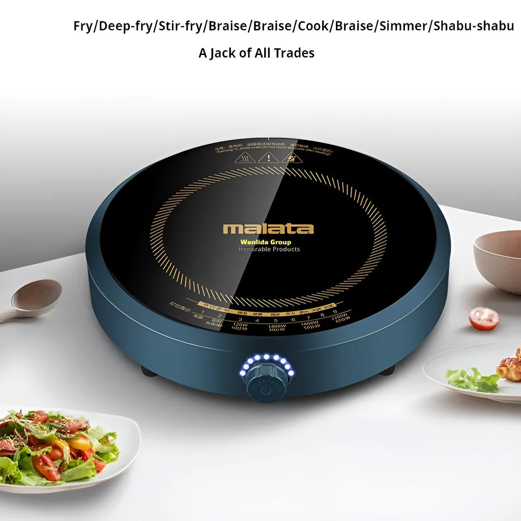 Induction cooker with circular 270mm heating area and knob control interface