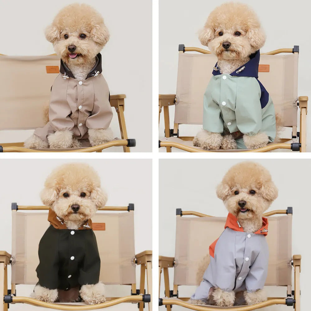 A small dog wearing a khaki-coloured British-style waterproof polyester jacket.