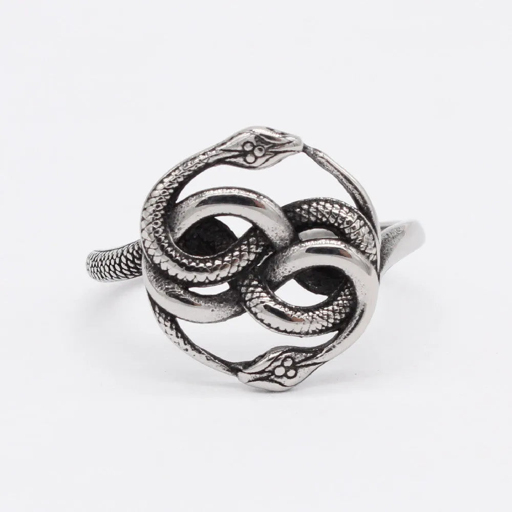 Steel coloured titanium steel ring featuring a detailed retro double snake design on a finger.