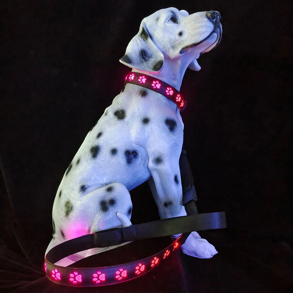 USB-rechargeable LED pet collar with colourful paw print pattern on a polyester strap.