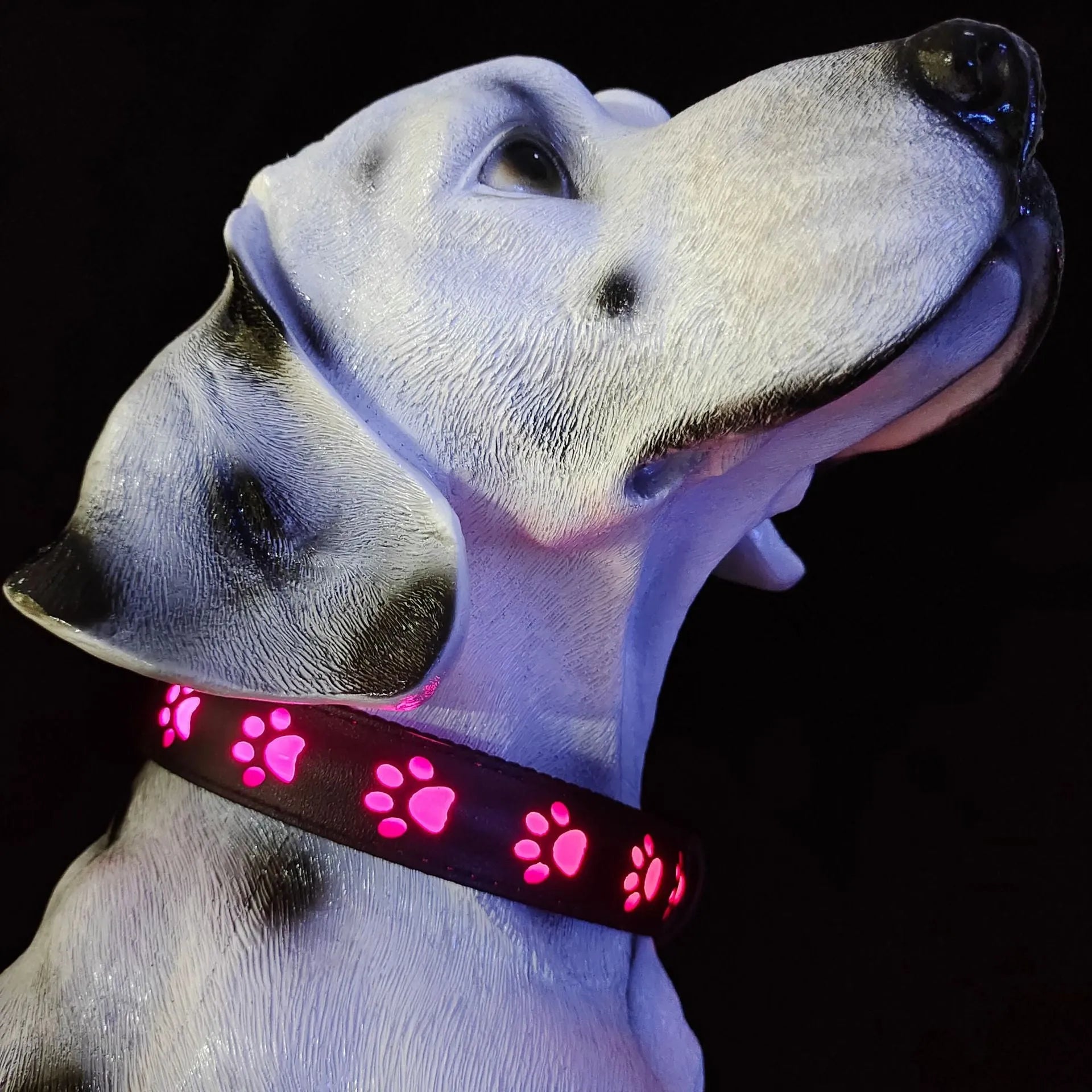 USB-rechargeable LED pet collar with colourful paw print pattern on a polyester strap.